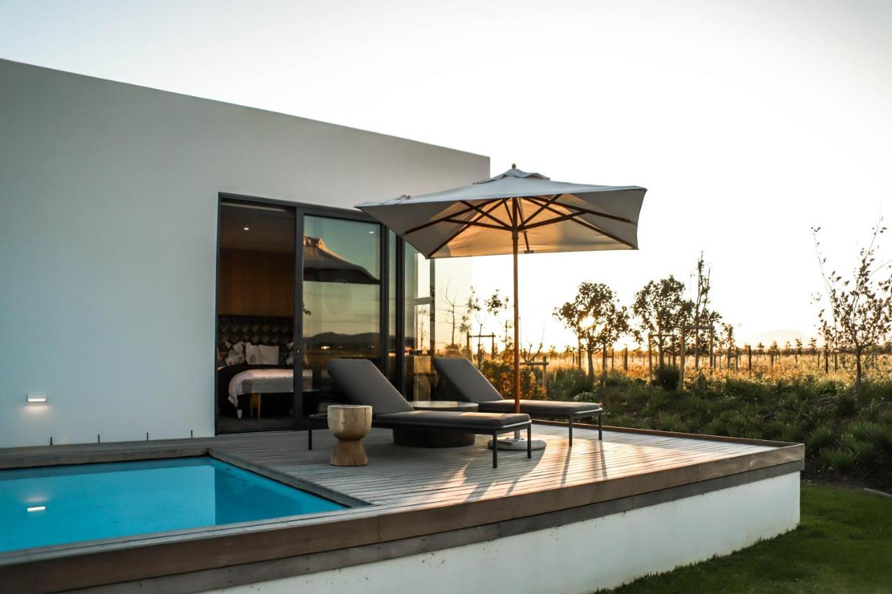 Vergenoegd Loew Boutique Hotel & Spa Κέιπ Τάουν Εξωτερικό φωτογραφία